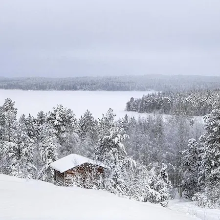 Metsaesydaen Huonemajoitus * Puumala