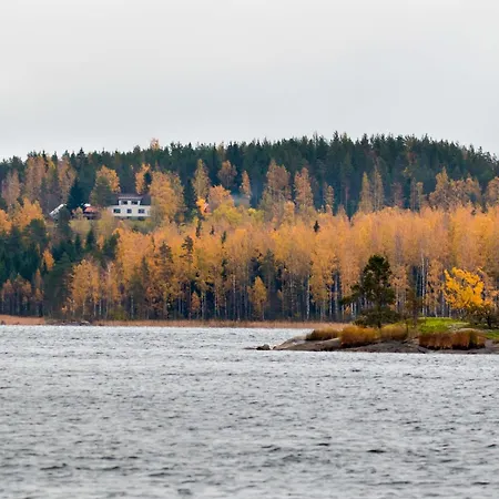 Metsaesydaen Huonemajoitus Country house