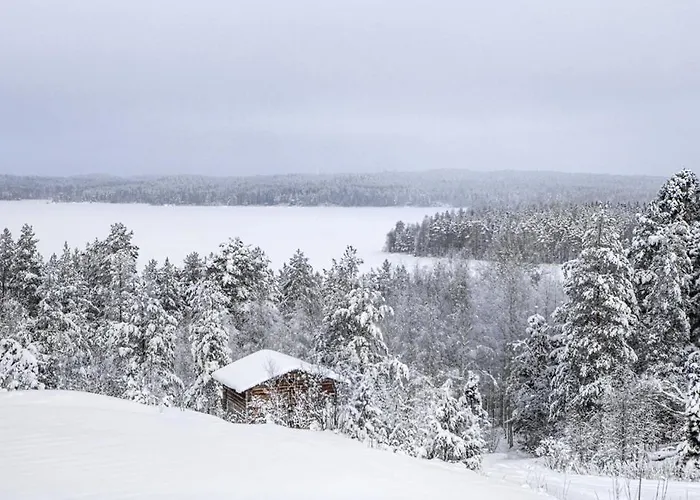 Metsaesydaen Huonemajoitus * פומלה